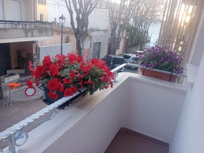 فندق Casa Del Corso دورغالي المظهر الخارجي الصورة