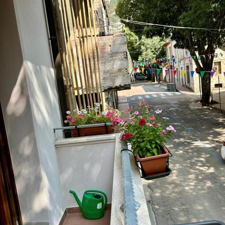 فندق Casa Del Corso دورغالي المظهر الخارجي الصورة