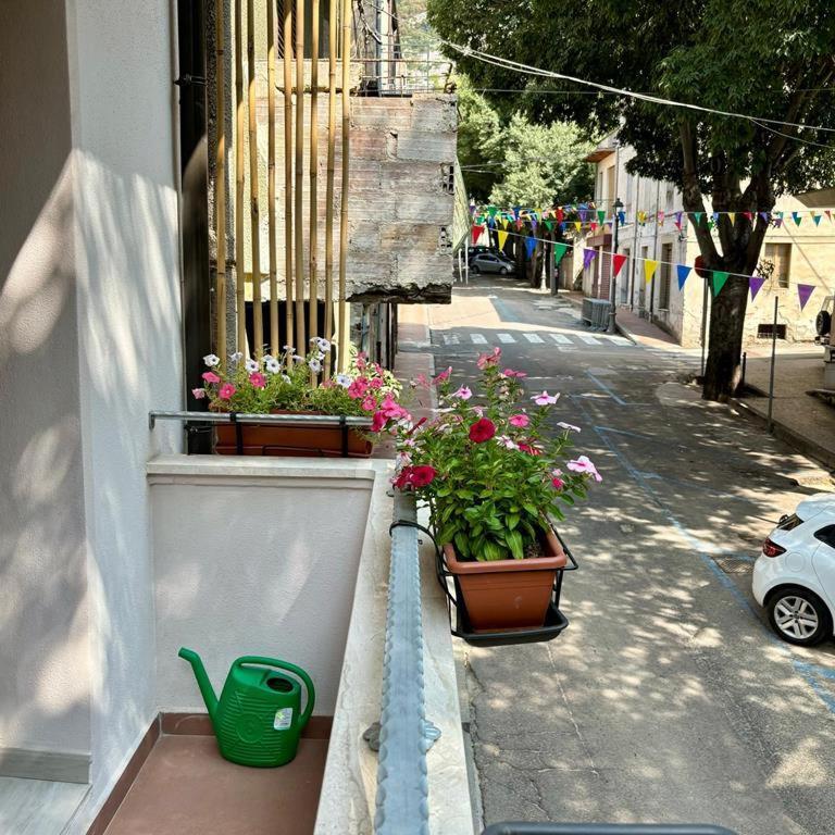فندق Casa Del Corso دورغالي المظهر الخارجي الصورة