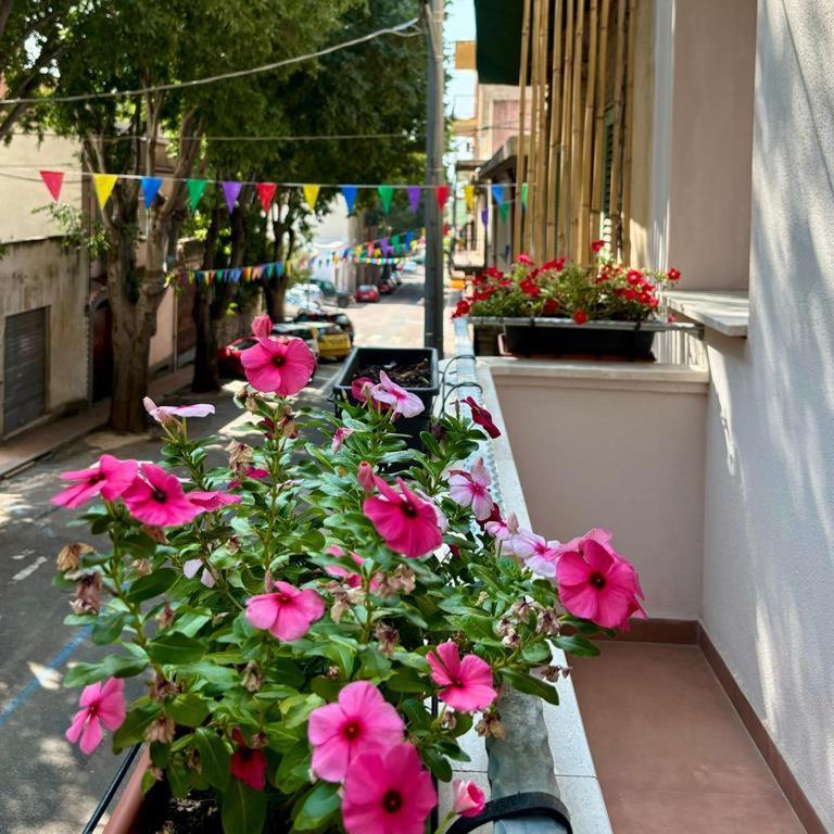 فندق Casa Del Corso دورغالي المظهر الخارجي الصورة