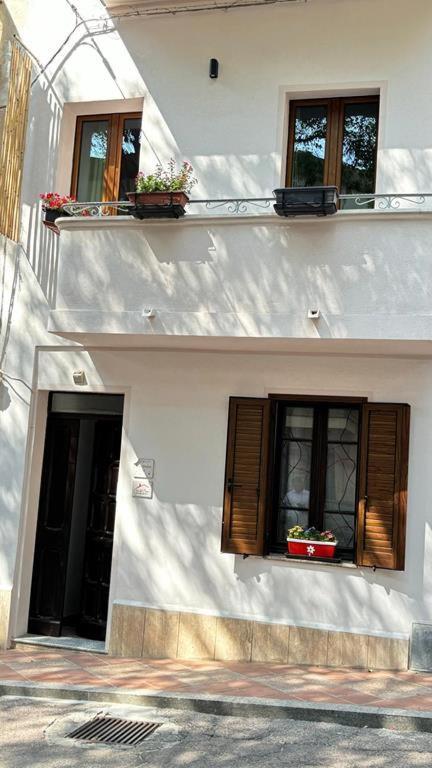 فندق Casa Del Corso دورغالي المظهر الخارجي الصورة